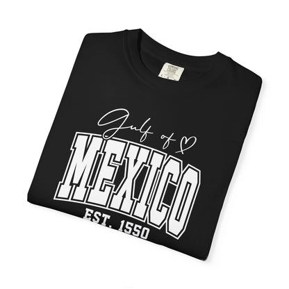 Gulf Of Mexico Comfort Colors® Soft Retro Tee | Resist Shirt, Anti Trump Shirt, Democrat Shirt, Democrat Gift Shirt