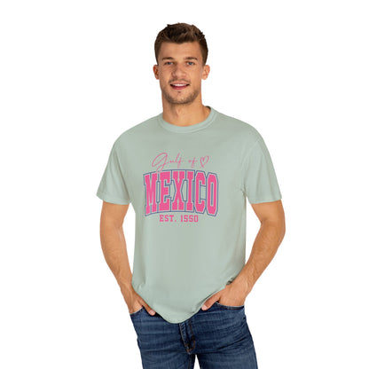 Gulf Of Mexico Comfort Colors® Soft Retro Tee | Resist Shirt, Anti Trump Shirt, Democrat Shirt, Democrat Gift Shirt