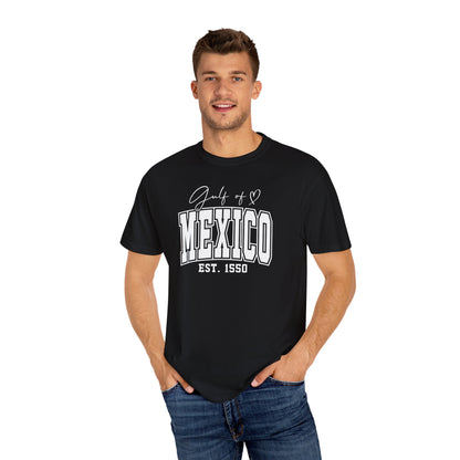 Gulf Of Mexico Comfort Colors® Soft Retro Tee | Resist Shirt, Anti Trump Shirt, Democrat Shirt, Democrat Gift Shirt