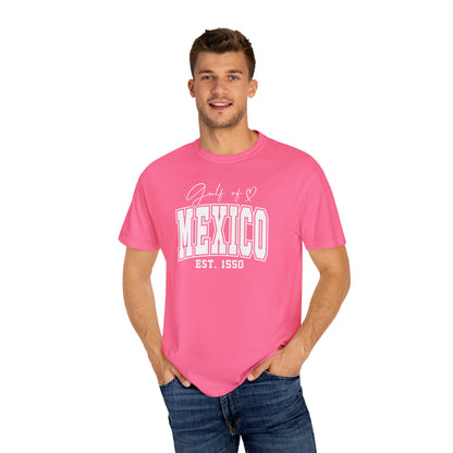 Gulf Of Mexico Comfort Colors® Soft Retro Tee | Resist Shirt, Anti Trump Shirt, Democrat Shirt, Democrat Gift Shirt