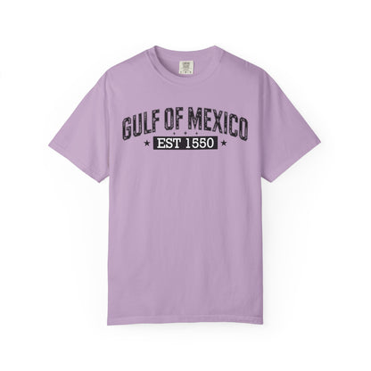 Gulf Of Mexico Comfort Colors® Soft Retro Tee | Resist Shirt, Anti Trump Shirt, Democrat Shirt, Democrat Gift Shirt