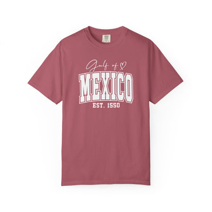 Gulf Of Mexico Comfort Colors® Soft Retro Tee | Resist Shirt, Anti Trump Shirt, Democrat Shirt, Democrat Gift Shirt