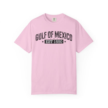 Gulf Of Mexico Comfort Colors® Soft Retro Tee | Resist Shirt, Anti Trump Shirt, Democrat Shirt, Democrat Gift Shirt