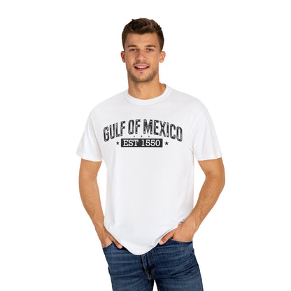 Gulf Of Mexico Comfort Colors® Soft Retro Tee | Resist Shirt, Anti Trump Shirt, Democrat Shirt, Democrat Gift Shirt
