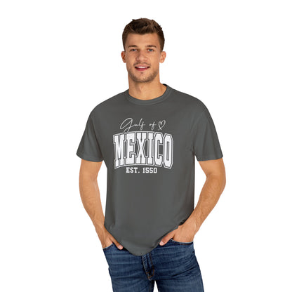 Gulf Of Mexico Comfort Colors® Soft Retro Tee | Resist Shirt, Anti Trump Shirt, Democrat Shirt, Democrat Gift Shirt