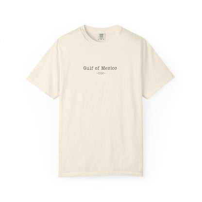 Gulf Of Mexico Comfort Colors® Soft Retro Tee | Resist Shirt, Anti Trump Shirt, Democrat Shirt, Democrat Gift Shirt